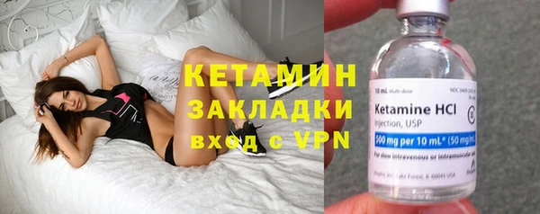 гидра Надым