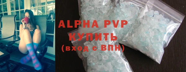 гидра Надым