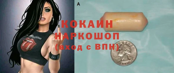 гидра Надым