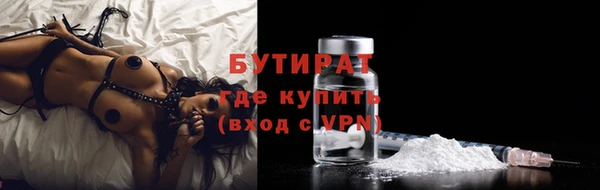 гидра Надым