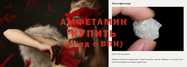 гидра Надым