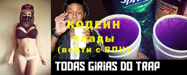 гидра Надым